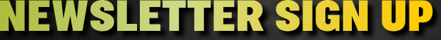   Ninthlink Newsletter