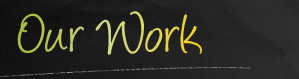   Our Work