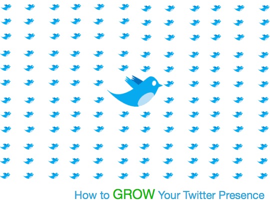 how-to-grow-twitter-presence